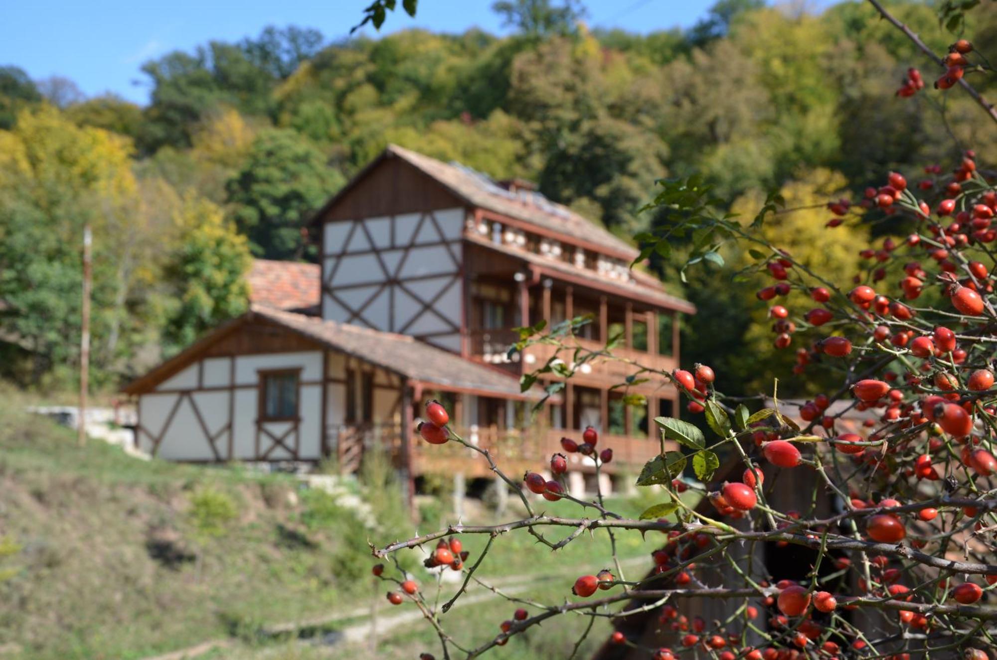 Ecokayan Dilijan Resort Hotel Exterior foto